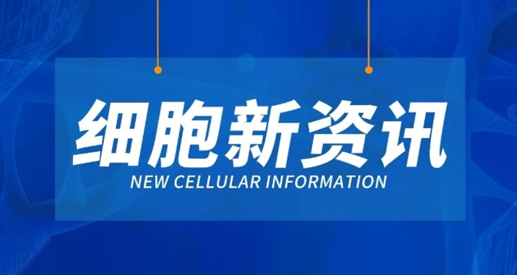 细胞新资讯 | 盘点近期国内细胞领域前沿资讯